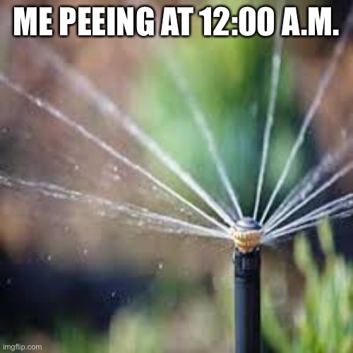 Split stream | ME PEEING AT 12:00 A.M. | image tagged in funny | made w/ Imgflip meme maker