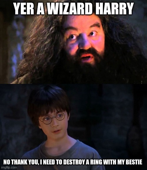 harry potter | YER A WIZARD HARRY; NO THANK YOU, I NEED TO DESTROY A RING WITH MY BESTIE | image tagged in you are wizzard harry | made w/ Imgflip meme maker