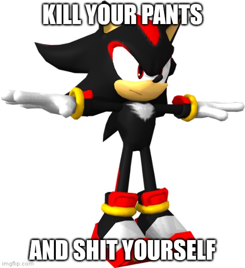 the q | KILL YOUR PANTS; AND SHIT YOURSELF | image tagged in shadow the hedgehog t pose,cringe,unfunny,stupid,shitpost | made w/ Imgflip meme maker
