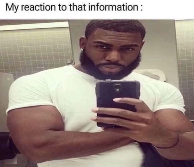 My Reaction To That Information Meme Template