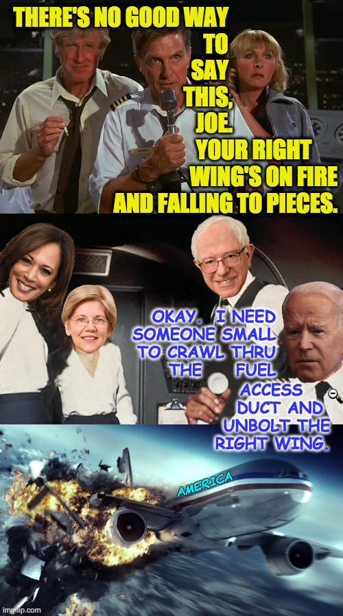 Elizabeth Warren is small. | THERE'S NO GOOD WAY 
TO 
SAY 
THIS,
JOE. YOUR RIGHT      
WING'S ON FIRE
AND FALLING TO PIECES. OKAY.  I NEED
SOMEONE SMALL
TO CRAWL THRU
THE     FUEL; ACCESS    
DUCT AND 
UNBOLT THE
RIGHT WING. AMERICA | image tagged in memes,airplane,right wing problems | made w/ Imgflip meme maker