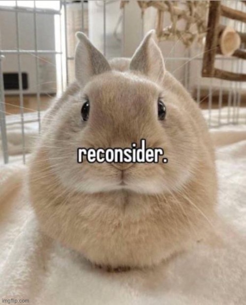 Reconsider | image tagged in reconsider | made w/ Imgflip meme maker