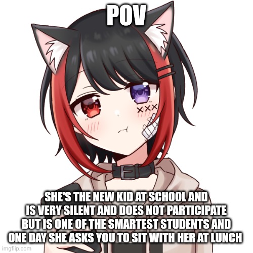 My first post in a few months | POV; SHE'S THE NEW KID AT SCHOOL AND IS VERY SILENT AND DOES NOT PARTICIPATE BUT IS ONE OF THE SMARTEST STUDENTS AND ONE DAY SHE ASKS YOU TO SIT WITH HER AT LUNCH | made w/ Imgflip meme maker