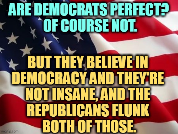 What happened to the GOP? | ARE DEMOCRATS PERFECT? 
OF COURSE NOT. BUT THEY BELIEVE IN 
DEMOCRACY AND THEY'RE 
NOT INSANE, AND THE 
REPUBLICANS FLUNK 
BOTH OF THOSE. | image tagged in american flag,democrats,democracy,republicans,insane | made w/ Imgflip meme maker
