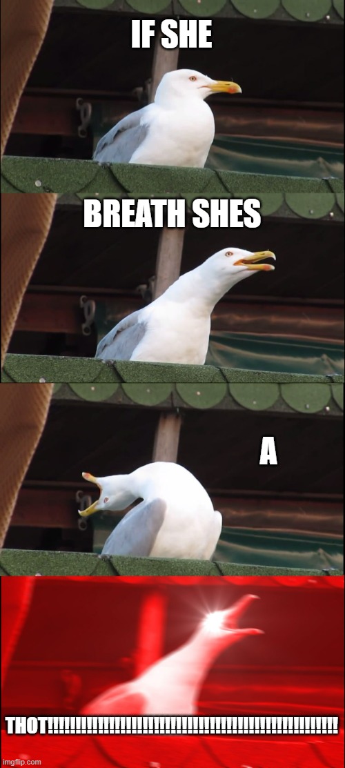Inhaling Seagull | IF SHE; BREATH SHES; A; THOT!!!!!!!!!!!!!!!!!!!!!!!!!!!!!!!!!!!!!!!!!!!!!!!!!!!! | image tagged in memes,inhaling seagull | made w/ Imgflip meme maker