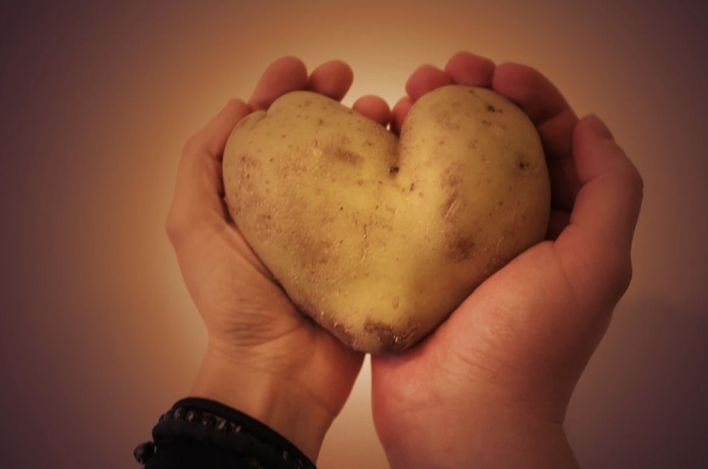 High Quality Potato heart Blank Meme Template