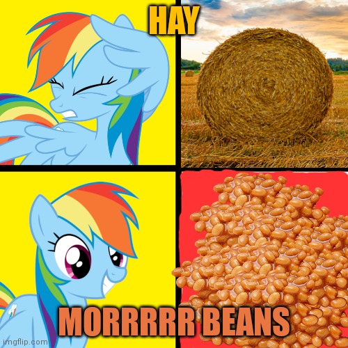 No this is wrong. This has to stop. | HAY; MORRRRR BEANS | image tagged in this is wrong,its time to stop,stop,rainbow dash,beans | made w/ Imgflip meme maker