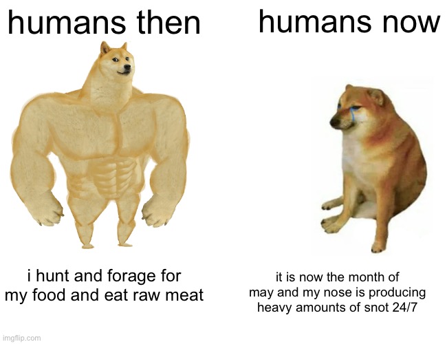 i am unfortunately a victim of spring allergies |  humans then; humans now; i hunt and forage for my food and eat raw meat; it is now the month of may and my nose is producing heavy amounts of snot 24/7 | image tagged in memes,buff doge vs cheems,funny,funny memes,barney will eat all of your delectable biscuits,human | made w/ Imgflip meme maker
