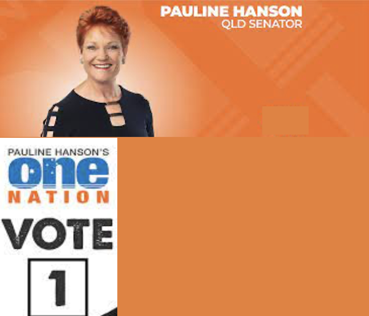 High Quality Pauline Hanson One Nation Blank Meme Template