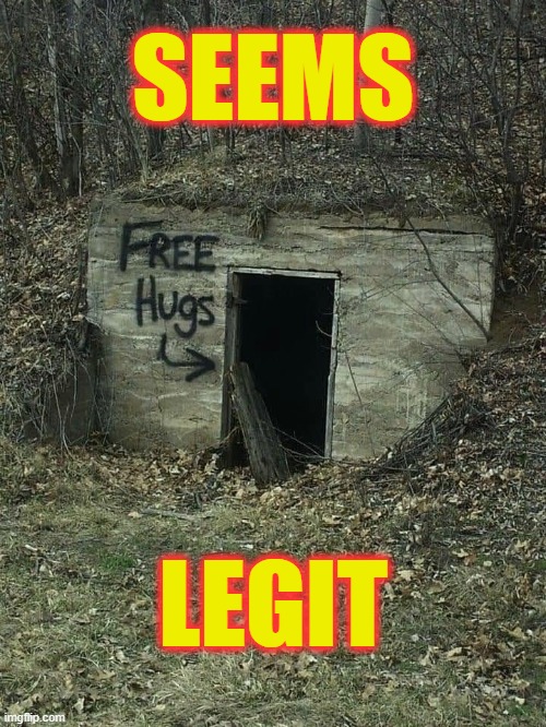 Seems legit | SEEMS; LEGIT | image tagged in free hugs | made w/ Imgflip meme maker