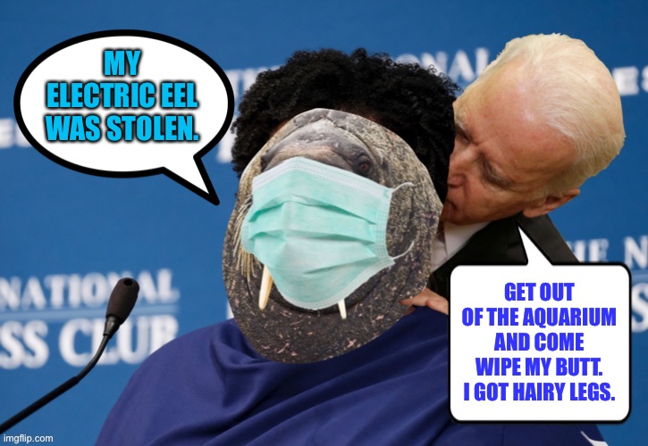 Come on, Joe. That’s fat shaming. | MY
ELECTRIC EEL
WAS STOLEN. GET OUT OF THE AQUARIUM AND COME WIPE MY BUTT. I GOT HAIRY LEGS. | image tagged in memes,creepy joe biden,stacey abrams,black walrus,fat,georgia | made w/ Imgflip meme maker
