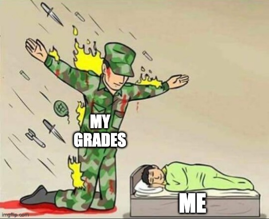 this is the only reason |  MY GRADES; ME | image tagged in soldier protecting sleeping child,grades,true story,oh wow are you actually reading these tags,stop reading the tags | made w/ Imgflip meme maker