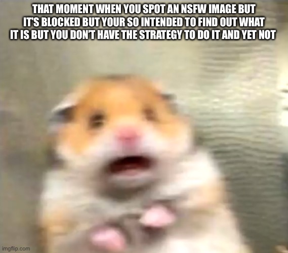 Has anyone had this moment | THAT MOMENT WHEN YOU SPOT AN NSFW IMAGE BUT IT’S BLOCKED BUT YOUR SO INTENDED TO FIND OUT WHAT IT IS BUT YOU DON’T HAVE THE STRATEGY TO DO IT AND YET NOT | image tagged in scared hamster | made w/ Imgflip meme maker