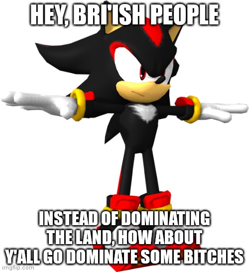 yEs | HEY, BRI'ISH PEOPLE; INSTEAD OF DOMINATING THE LAND, HOW ABOUT Y'ALL GO DOMINATE SOME BITCHES | image tagged in shadow the hedgehog t pose | made w/ Imgflip meme maker