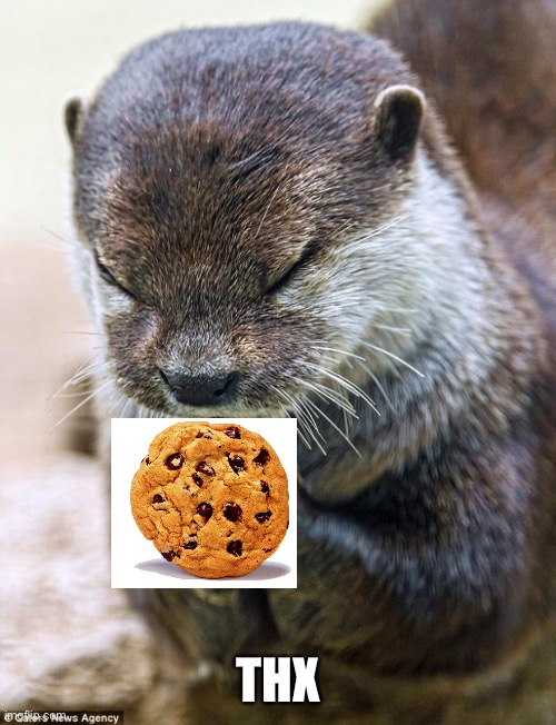 Thank you Lord Otter | THX | image tagged in thank you lord otter | made w/ Imgflip meme maker