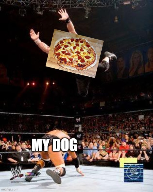Pizza | MY DOG | image tagged in wwe,memes,meme,funny memes,funny meme,good memes | made w/ Imgflip meme maker
