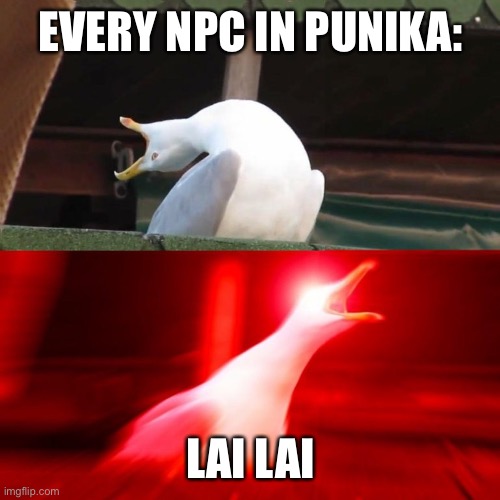BOY seagull | EVERY NPC IN PUNIKA:; LAI LAI | image tagged in boy seagull | made w/ Imgflip meme maker