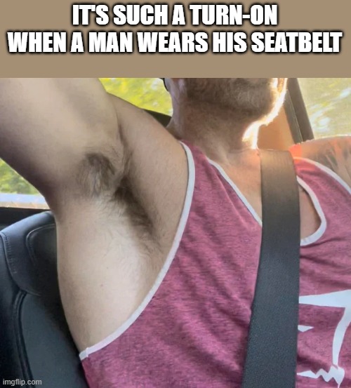 When A Man Wears His Seatbelt | IT'S SUCH A TURN-ON WHEN A MAN WEARS HIS SEATBELT | image tagged in seatbelt,man,shirtless,armpit,funny,memes | made w/ Imgflip meme maker