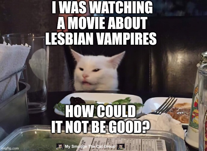 I WAS WATCHING A MOVIE ABOUT LESBIAN VAMPIRES; HOW COULD IT NOT BE GOOD? | image tagged in smudge the cat | made w/ Imgflip meme maker