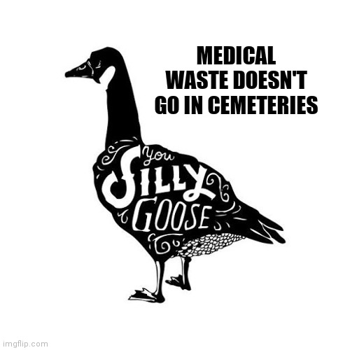 You silly goose | MEDICAL WASTE DOESN'T GO IN CEMETERIES | image tagged in you silly goose | made w/ Imgflip meme maker