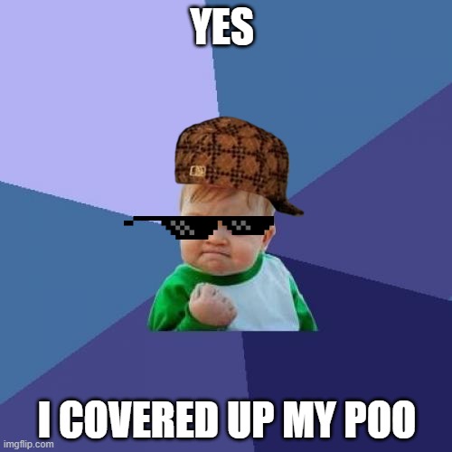 Success Kid | YES; I COVERED UP MY POO | image tagged in memes,success kid | made w/ Imgflip meme maker