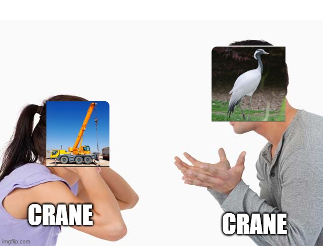 Crane | CRANE; CRANE | image tagged in argument,crane | made w/ Imgflip meme maker