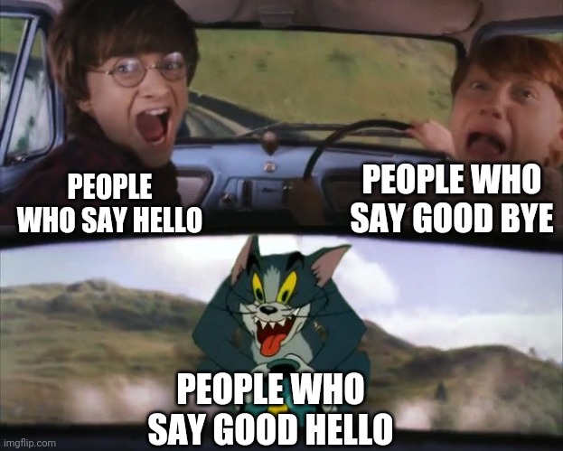 Good hello guys! | PEOPLE WHO SAY GOOD BYE; PEOPLE WHO SAY HELLO; PEOPLE WHO SAY GOOD HELLO | image tagged in tom chasing harry and ron weasly,memes,funny,funny memes,hello,good bye | made w/ Imgflip meme maker