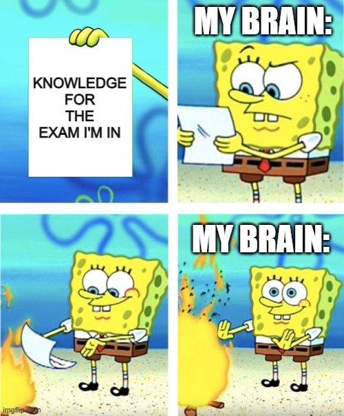 relatable tho? |  MY BRAIN:; KNOWLEDGE FOR THE EXAM I'M IN; MY BRAIN: | image tagged in spongebob burning paper,knowledge,funny meme,relatable | made w/ Imgflip meme maker