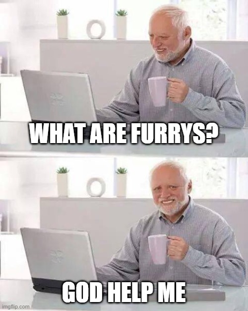 Poor guy, he didn't have safe search on |  WHAT ARE FURRYS? GOD HELP ME | image tagged in memes,hide the pain harold | made w/ Imgflip meme maker