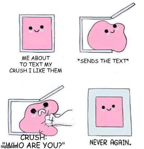True story for me | ME ABOUT TO TEXT MY CRUSH I LIKE THEM; *SENDS THE TEXT*; CRUSH: "WHO ARE YOU?" | image tagged in never again,crush,jelly in box,meme,texting,rejected | made w/ Imgflip meme maker