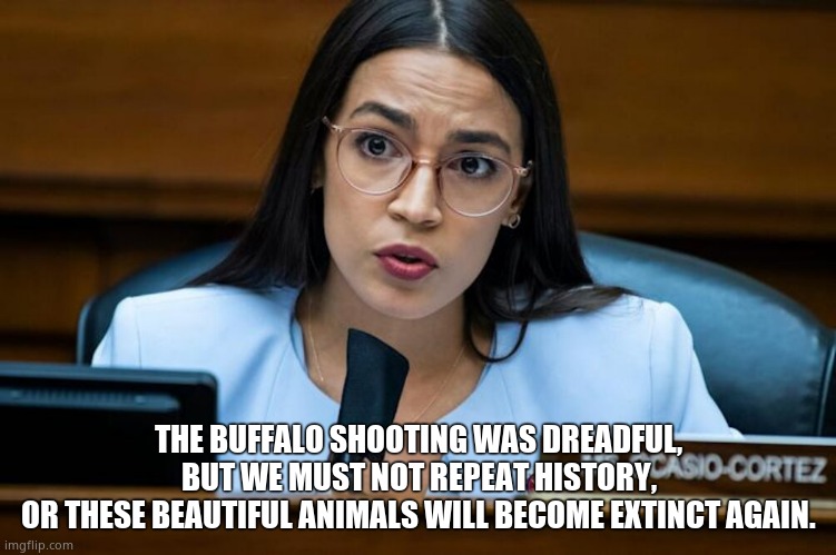 Buffalo Told Her |  THE BUFFALO SHOOTING WAS DREADFUL,
BUT WE MUST NOT REPEAT HISTORY,
OR THESE BEAUTIFUL ANIMALS WILL BECOME EXTINCT AGAIN. | image tagged in memes,crazy aoc,buffalo,democrats,funny memes,political meme | made w/ Imgflip meme maker