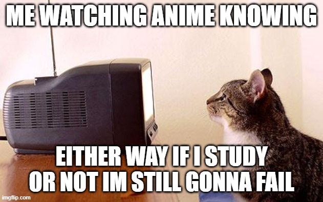 sorry, just had to make it relatable |  ME WATCHING ANIME KNOWING; EITHER WAY IF I STUDY OR NOT IM STILL GONNA FAIL | image tagged in cat watching tv | made w/ Imgflip meme maker
