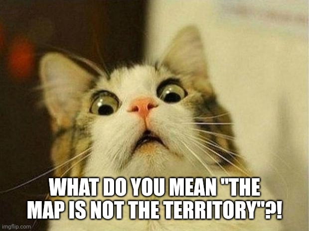 Dank 2 Light Reflections* Lessons AF Cheers https://youtu.be/7E0fVfectDo | WHAT DO YOU MEAN "THE MAP IS NOT THE TERRITORY"?! | image tagged in memes,scared cat | made w/ Imgflip meme maker