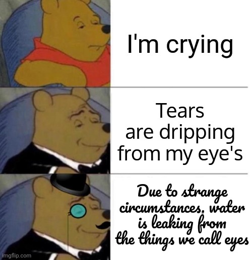 Yes | I'm crying; Tears are dripping from my eye's; Due to strange circumstances, water is leaking from the things we call eyes | image tagged in tuxedo winnie the pooh 3 panel | made w/ Imgflip meme maker