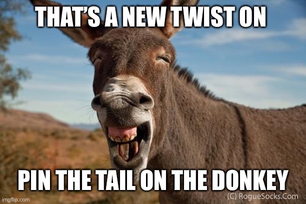 Donkey Jackass Braying | THAT’S A NEW TWIST ON PIN THE TAIL ON THE DONKEY | image tagged in donkey jackass braying | made w/ Imgflip meme maker