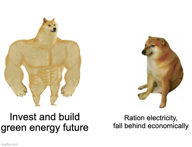 Buff Doge vs. Cheems Meme | Invest and build green energy future; Ration electricity, fall behind economically | image tagged in memes,buff doge vs cheems | made w/ Imgflip meme maker