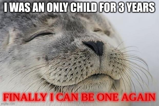 Satisfied Seal | I WAS AN ONLY CHILD FOR 3 YEARS; FINALLY I CAN BE ONE AGAIN | image tagged in memes,satisfied seal | made w/ Imgflip meme maker