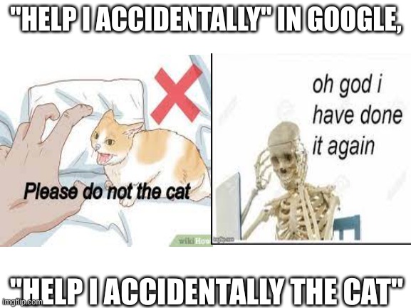 He done the cat again. | "HELP I ACCIDENTALLY" IN GOOGLE, "HELP I ACCIDENTALLY THE CAT" | image tagged in please do not the cat | made w/ Imgflip meme maker