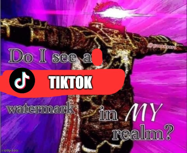 Do I see a Tiktok Watermark | image tagged in do i see a tiktok watermark | made w/ Imgflip meme maker