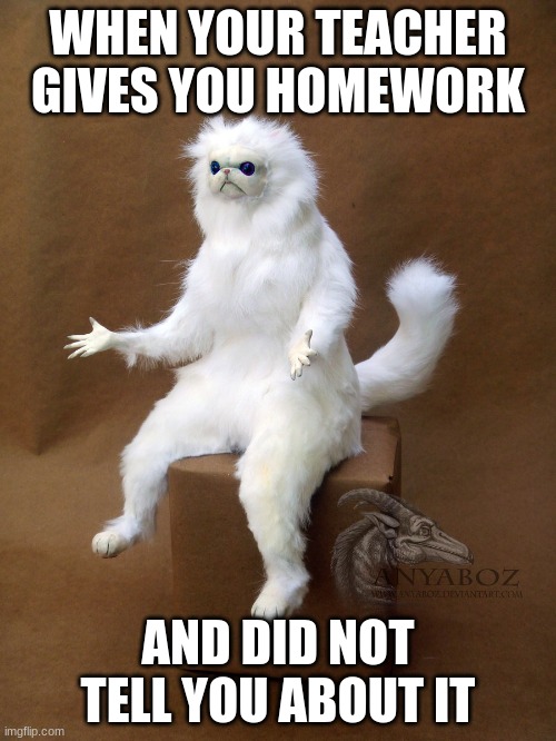 Persian Cat Room Guardian Single | WHEN YOUR TEACHER GIVES YOU HOMEWORK; AND DID NOT TELL YOU ABOUT IT | image tagged in memes,persian cat room guardian single | made w/ Imgflip meme maker