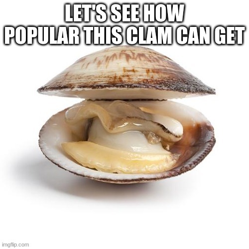 How popular can it get? | image tagged in clam | made w/ Imgflip meme maker