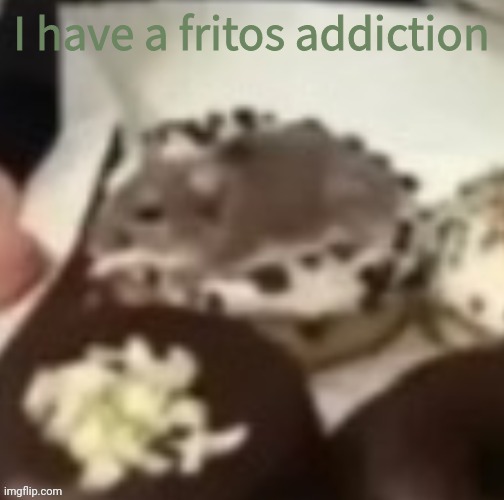 aww the mouse | I have a fritos addiction | image tagged in aww the mouse | made w/ Imgflip meme maker