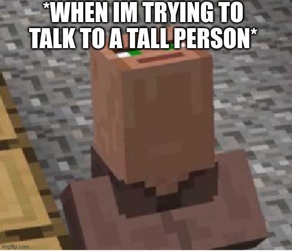 what if your the tall person? | *WHEN IM TRYING TO TALK TO A TALL PERSON* | image tagged in minecraft villager looking up,funny,tall people,facts,viral meme | made w/ Imgflip meme maker