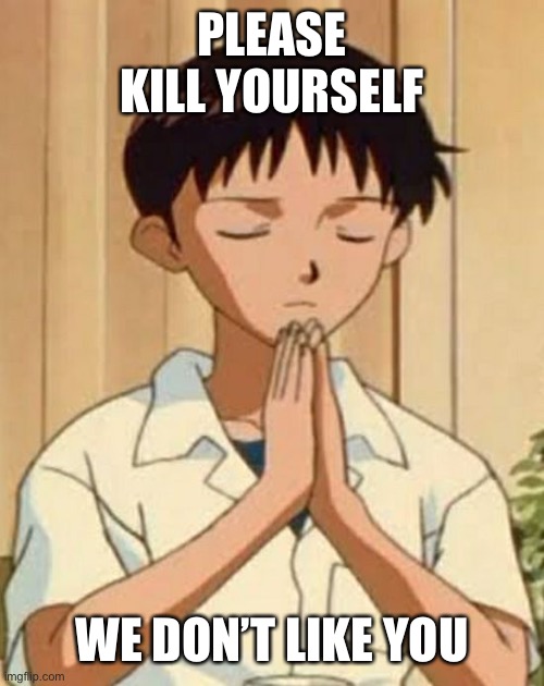 Shinji pray | PLEASE KILL YOURSELF; WE DON’T LIKE YOU | image tagged in shinji pray | made w/ Imgflip meme maker