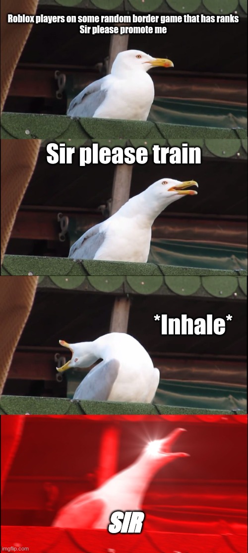 Inhaling Seagull | Roblox players on some random border game that has ranks
Sir please promote me; Sir please train; *Inhale*; SIR | image tagged in memes,inhaling seagull | made w/ Imgflip meme maker