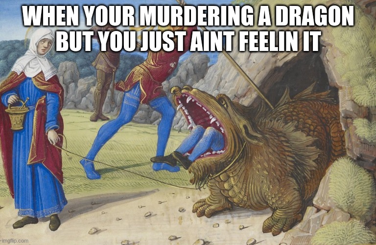 Weird dog | WHEN YOUR MURDERING A DRAGON BUT YOU JUST AINT FEELIN IT | image tagged in weird dog | made w/ Imgflip meme maker