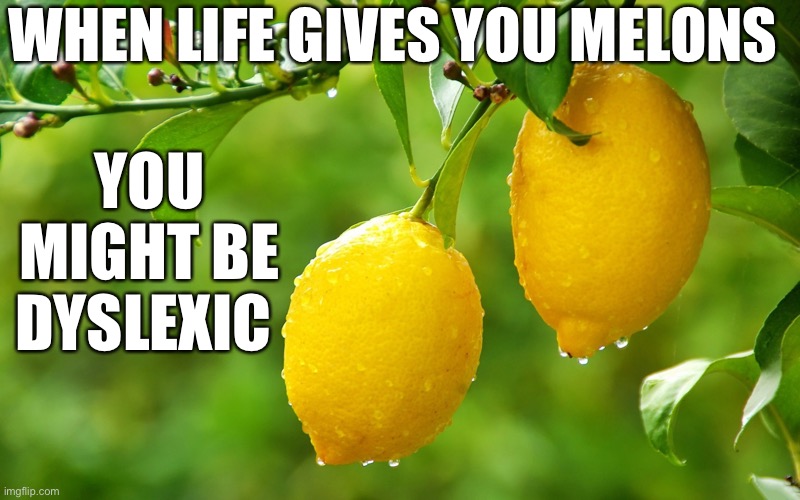 Wait a second… |  WHEN LIFE GIVES YOU MELONS; YOU MIGHT BE DYSLEXIC | image tagged in terrible puns,puns,funny memes,hilarious | made w/ Imgflip meme maker