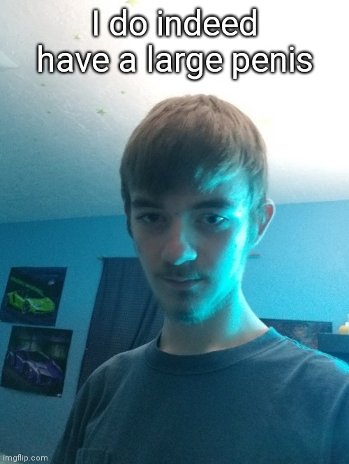 I do indeed have a large penis | made w/ Imgflip meme maker