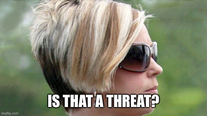 Karen | IS THAT A THREAT? | image tagged in karen | made w/ Imgflip meme maker