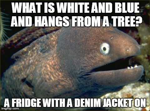 Bad Joke Eel Meme | WHAT IS WHITE AND BLUE AND HANGS FROM A TREE? A FRIDGE WITH A DENIM JACKET ON | image tagged in memes,bad joke eel | made w/ Imgflip meme maker